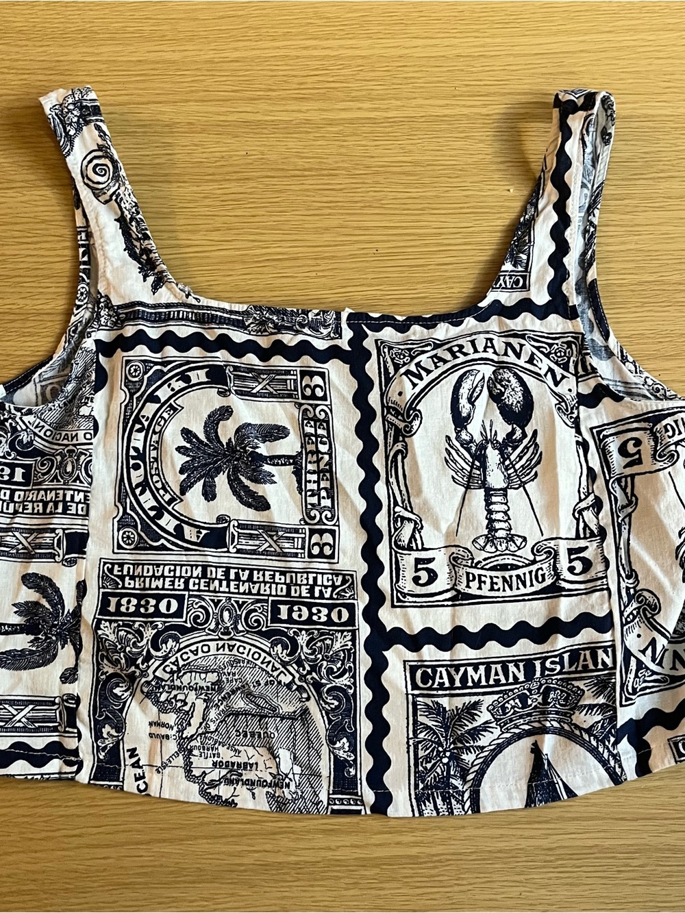 Artelier Nicole Miller Coastal Smocked Back Blue and White Tank Top Sz L